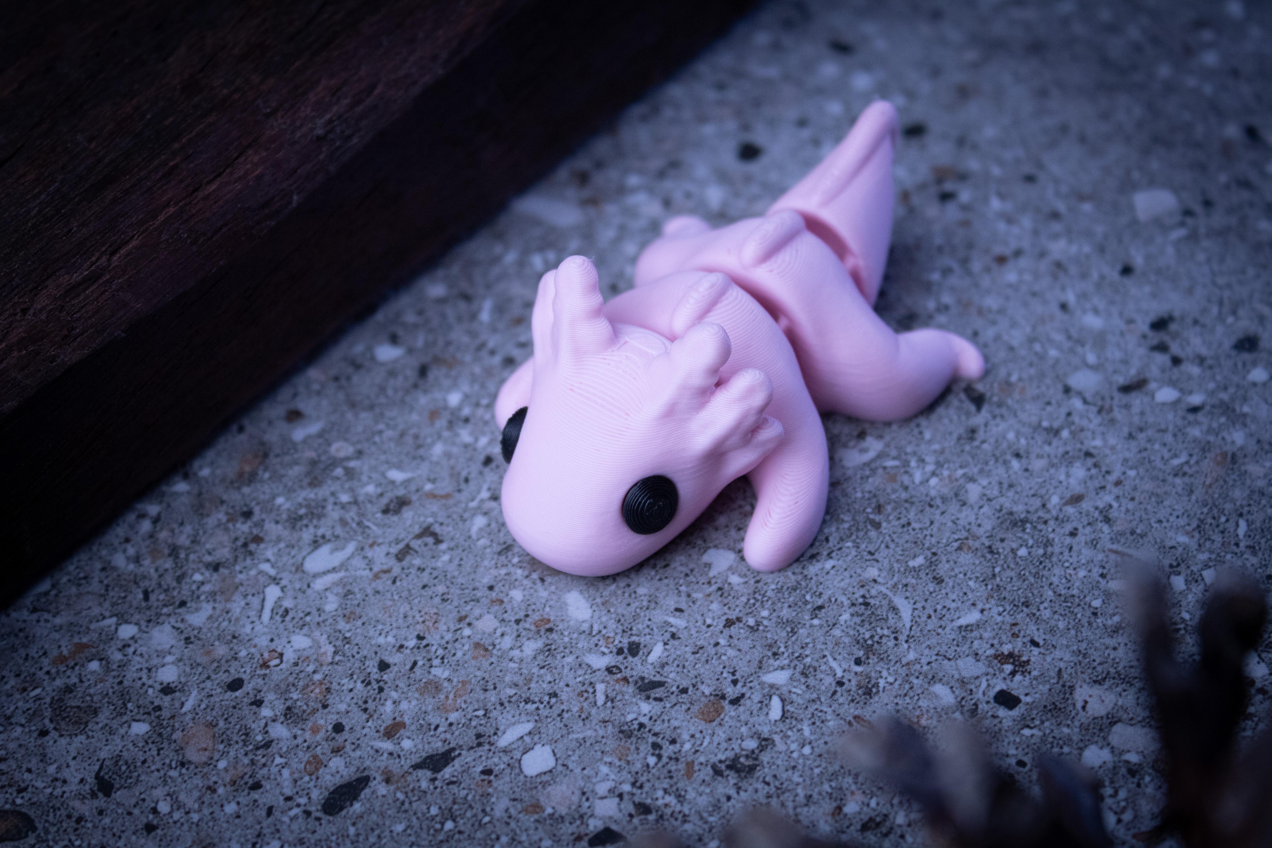 Baby Axolotl