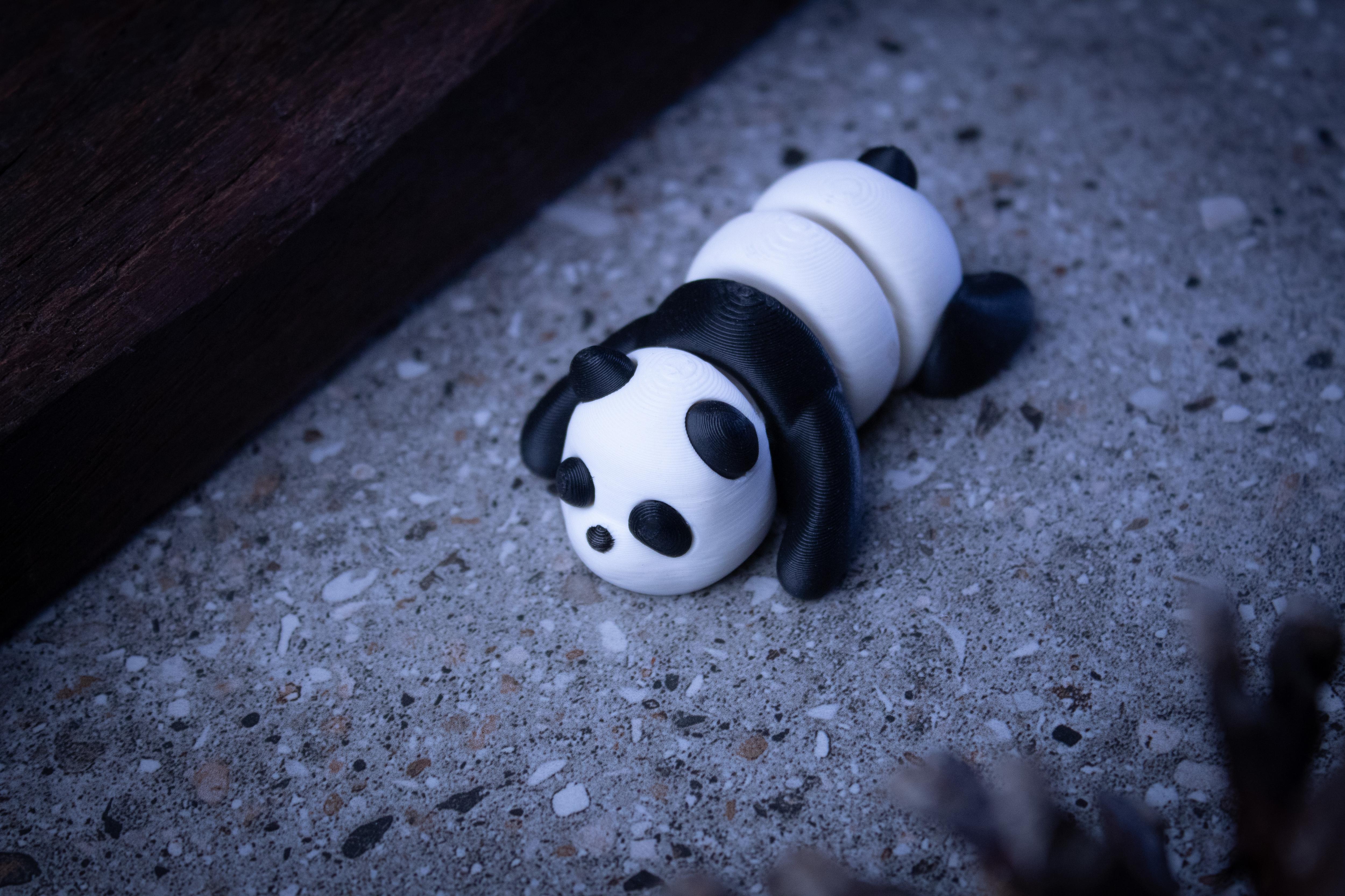 Baby Panda