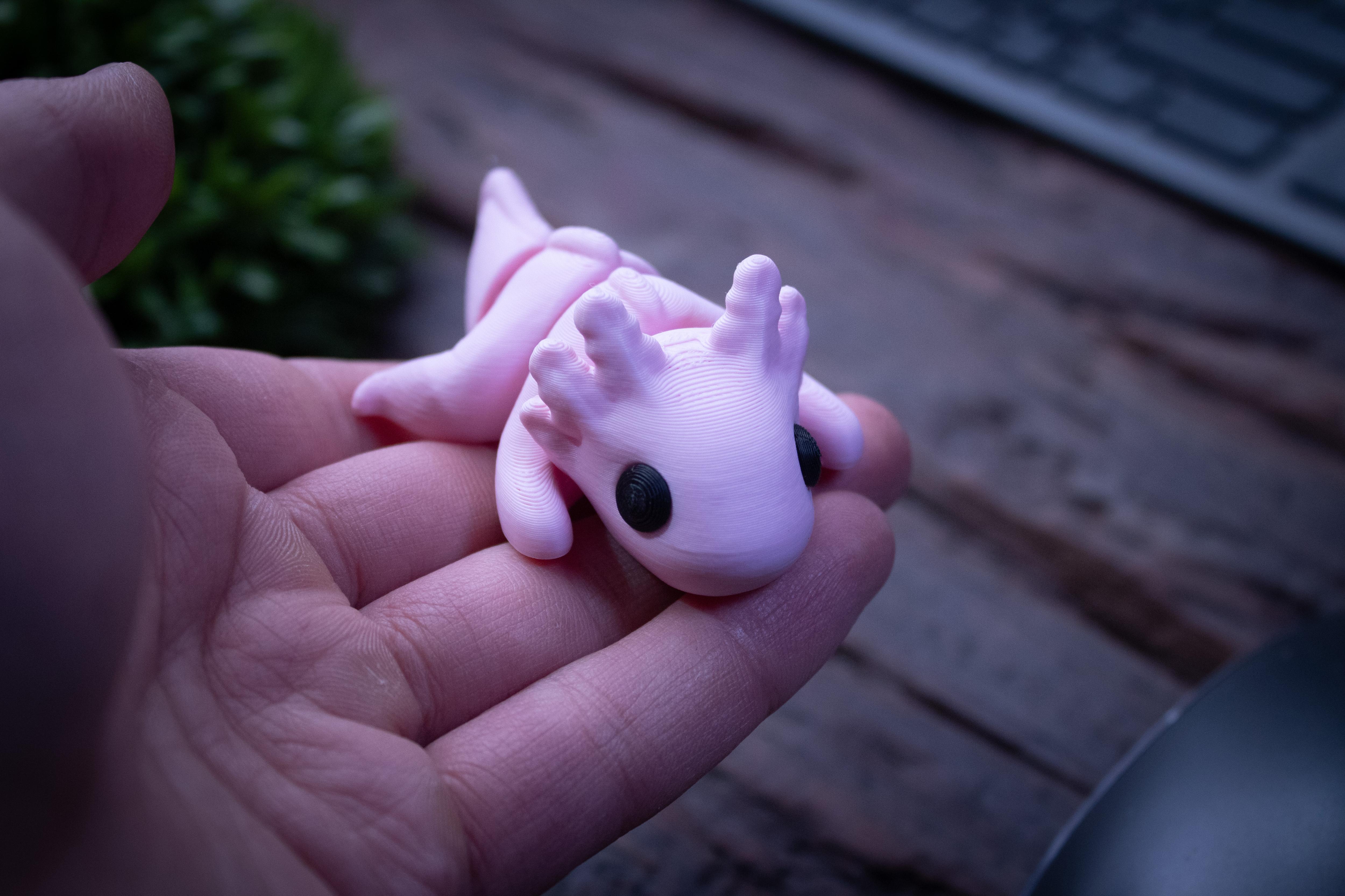 Baby Axolotl